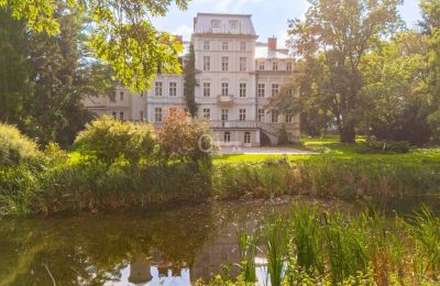 Palácio à venda Malina, Pałac Malina, Lodzkie, Imagem 26/28