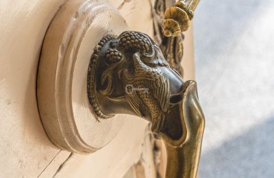 Palácio à venda Malina, Pałac Malina, Lodzkie, Imagem 7/28