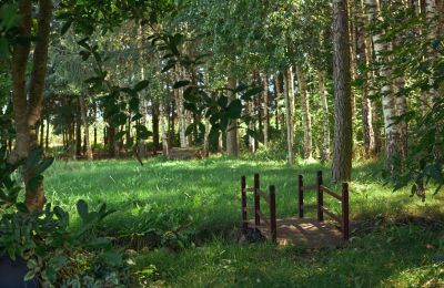 Casa senhorial à venda Stary Dzierzgoń, Pomerânia, Imagem 34/43