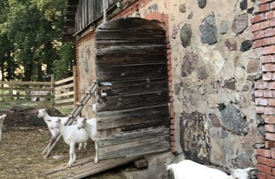 Casa senhorial à venda Vandzene, Kurzeme, Imagem 4/7