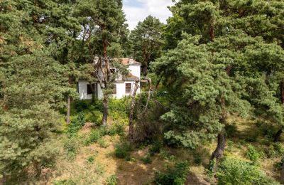 Mansão histórica à venda Konstancin-Jeziorna, Mazóvia, Imagem 4/9