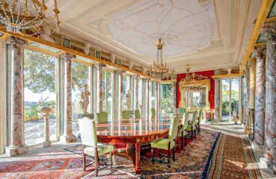 Imóveis históricos, Palacio neorrenascentista com floresta e olival