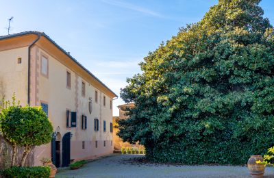 Mansão histórica à venda Crespina, Toscana, Imagem 33/38