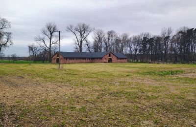 Casa senhorial à venda Raszków, Santa Cruz, Imagem 5/16