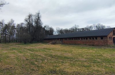 Casa senhorial à venda Raszków, Santa Cruz, Imagem 6/16