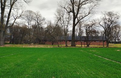 Casa senhorial à venda Raszków, Santa Cruz, Imagem 8/16