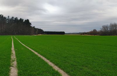 Casa senhorial à venda Raszków, Santa Cruz, Imagem 7/16