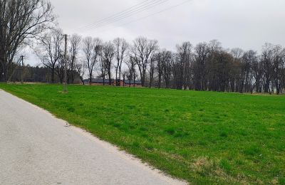 Casa senhorial à venda Raszków, Santa Cruz, Imagem 14/16