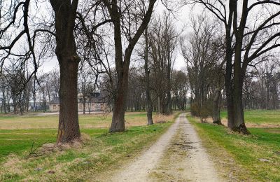 Casa senhorial à venda Raszków, Santa Cruz, Imagem 15/16