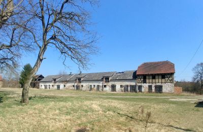 Casa senhorial à venda Lubuskie, Imagem 5/16