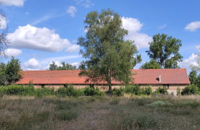 Casa senhorial à venda Lubuskie, Imagem 6/16
