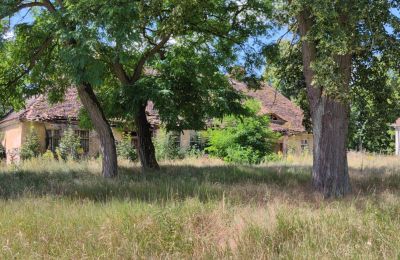 Casa senhorial à venda Lubuskie, Imagem 7/16