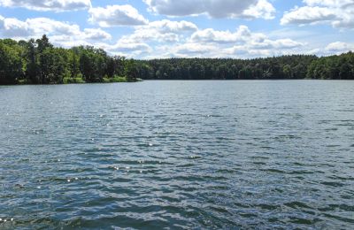 Casa senhorial à venda Lubuskie, Imagem 13/16