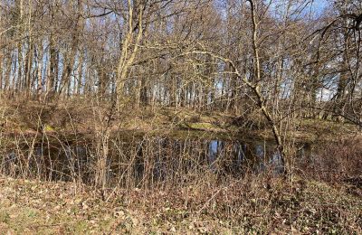 Palácio à venda Kępica, Kępica 20 A, Zachodniopomorskie, Imagem 12/13