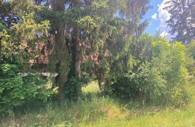 Casa de campo à venda Bądze, Warminsko-mazurskie, Imagem 5/8