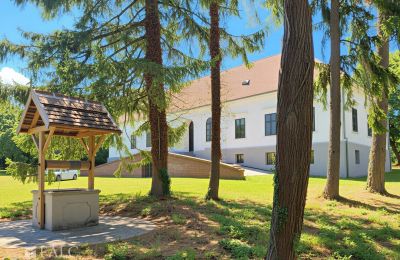 Casa senhorial à venda Tömörd, Fő utca 11, Vas vármegye, Imagem 5/21