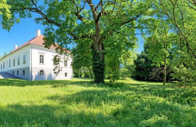 Casa senhorial à venda Tömörd, Fő utca 11, Vas vármegye, Jardim palaciano
