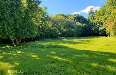 Casa senhorial à venda Tömörd, Fő utca 11, Vas vármegye, Jardim palaciano