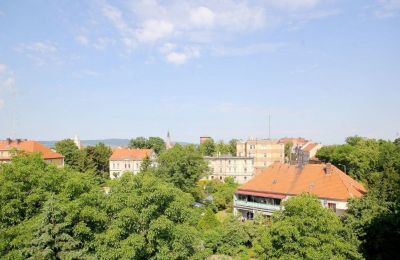 Palácio à venda Jawor, Armii Krajowej 7, Dolnoslaskie, Imagem 15/20