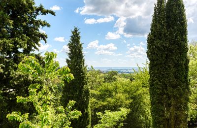 Casa senhorial à venda Limonest, Auvergne-Rhône-Alpes, Imagem 6/10