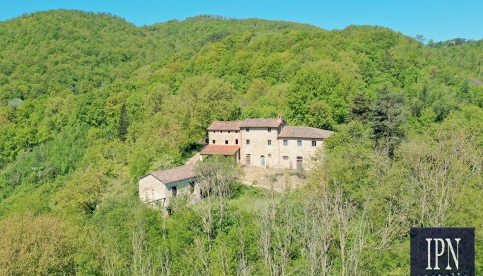  Molino Vitelli 2