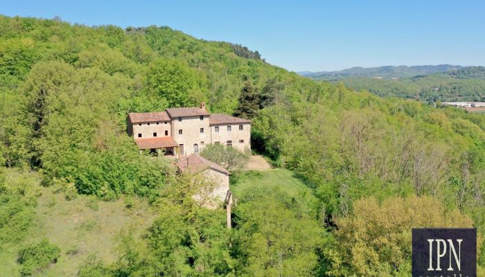  Molino Vitelli 3