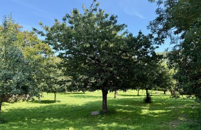 Casa senhorial à venda Brandemburgo, Obstbaumgarten