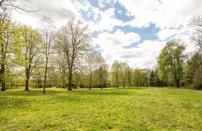 Casa senhorial à venda Strzegocin , Mazóvia, Imagem 20/42