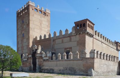 Castelo Narros de Saldueña, Castela e Leão