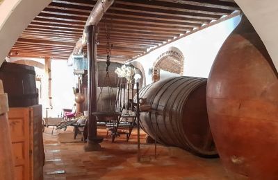 Castelo à venda Narros de Saldueña, Teniente Cecilio López 48, Castela e Leão, Bodega