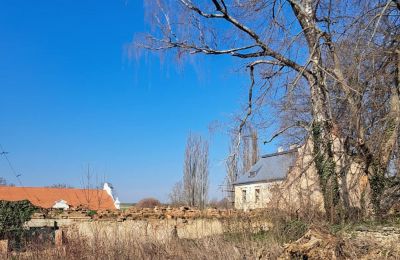 Palácio à venda Ronov nad Doubravou, Moravany  1, okres Chrudim, Imagem 16/17