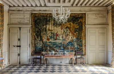 Palácio à venda Nova Aquitânia, Imagem 9/17
