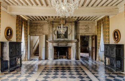 Palácio à venda Nova Aquitânia, Imagem 10/17