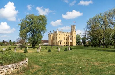 Palácio à venda Narok, Opole, Jardim palaciano