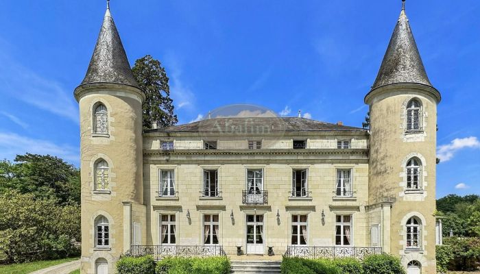 Palácio à venda La Roche-Posay, Nova Aquitânia