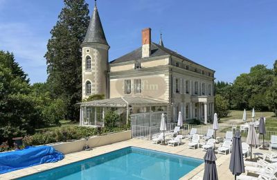 Palácio à venda La Roche-Posay, Nova Aquitânia, Imagem 5/41
