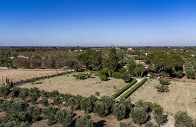 Casa de campo à venda Francavilla Fontana, Apúlia, Imagem 30/30