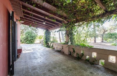 Casa de campo à venda Francavilla Fontana, Apúlia, Imagem 7/30