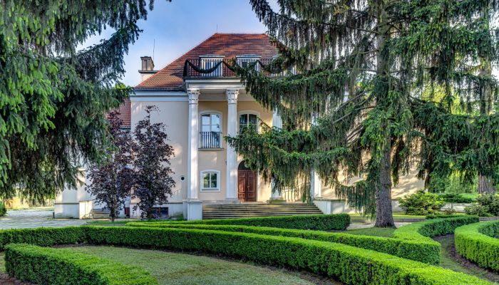 Palácio à venda Smoszewo, Mazóvia