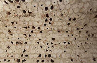 Casa urbana à venda Cassano delle Murge, Apúlia, Imagem 24/24