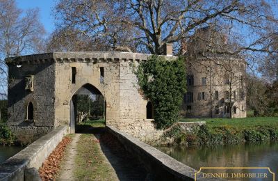 Castelo à venda Valence, Auvergne-Rhône-Alpes, Imagem 3/28
