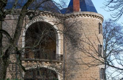 Castelo à venda Valence, Auvergne-Rhône-Alpes, Imagem 7/28