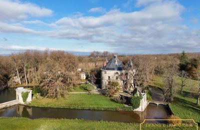 Castelo à venda Valence, Auvergne-Rhône-Alpes, Imagem 2/28