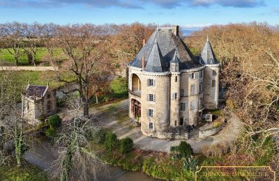 Castelo à venda Valence, Auvergne-Rhône-Alpes, Imagem 1/28