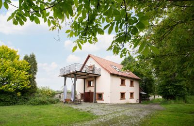 Casa senhorial à venda Lusina, Pequena Polónia, Imagem 19/33