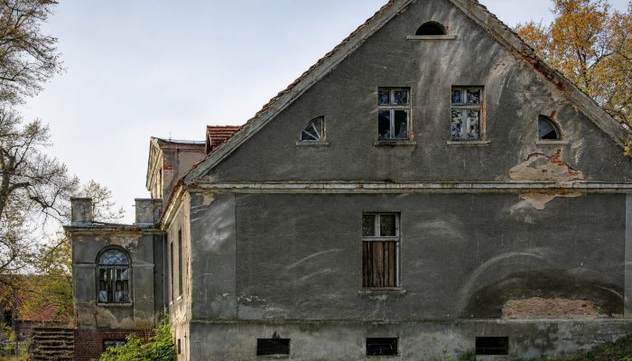  Rogów Wołowski 5