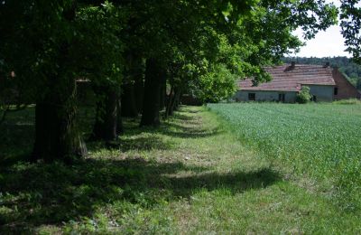 Casa senhorial à venda Rogów Wołowski, Baixa Silésia, Imagem 20/25