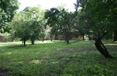 Casa senhorial à venda Rogów Wołowski, Baixa Silésia, Imagem 19/25