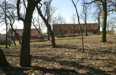 Casa senhorial à venda Rogów Wołowski, Baixa Silésia, Imagem 10/25