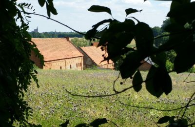 Casa senhorial à venda Rogów Wołowski, Baixa Silésia, Imagem 6/25